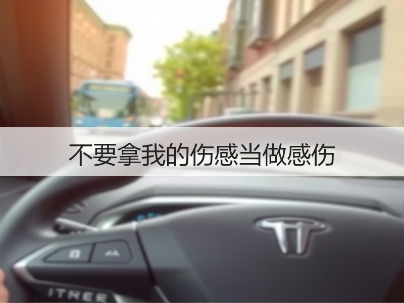不要拿我的伤感当做感伤