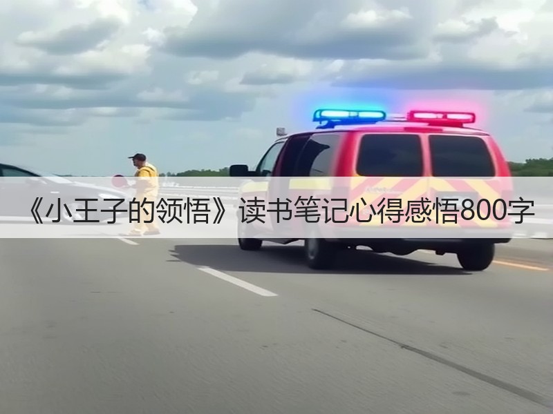 《小王子的领悟》读书笔记心得感悟800字