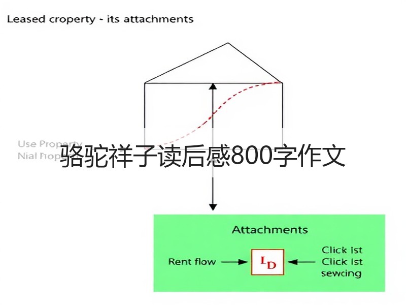 骆驼祥子读后感800字作文