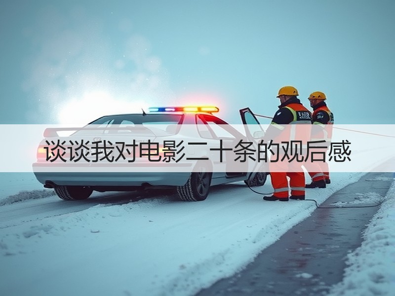 谈谈我对电影二十条的观后感
