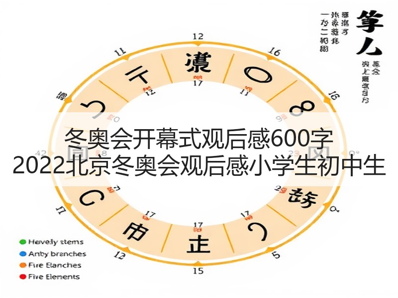 冬奥会开幕式观后感600字 2022北京冬奥会观后感小学生初中生