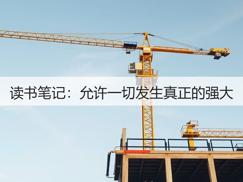 读书笔记：允许一切发生真正的强大