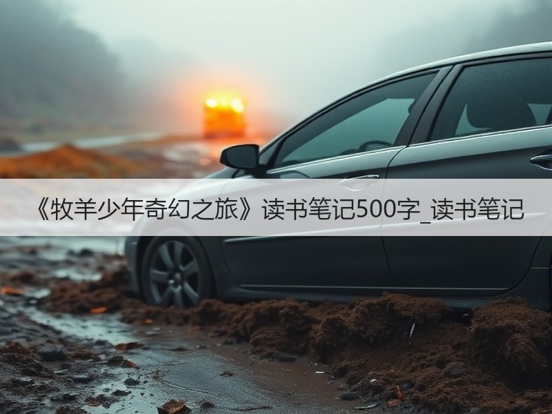 《牧羊少年奇幻之旅》读书笔记500字_读书笔记
