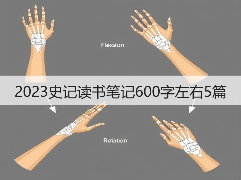 2023史记读书笔记600字左右5篇