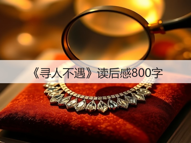 《寻人不遇》读后感800字
