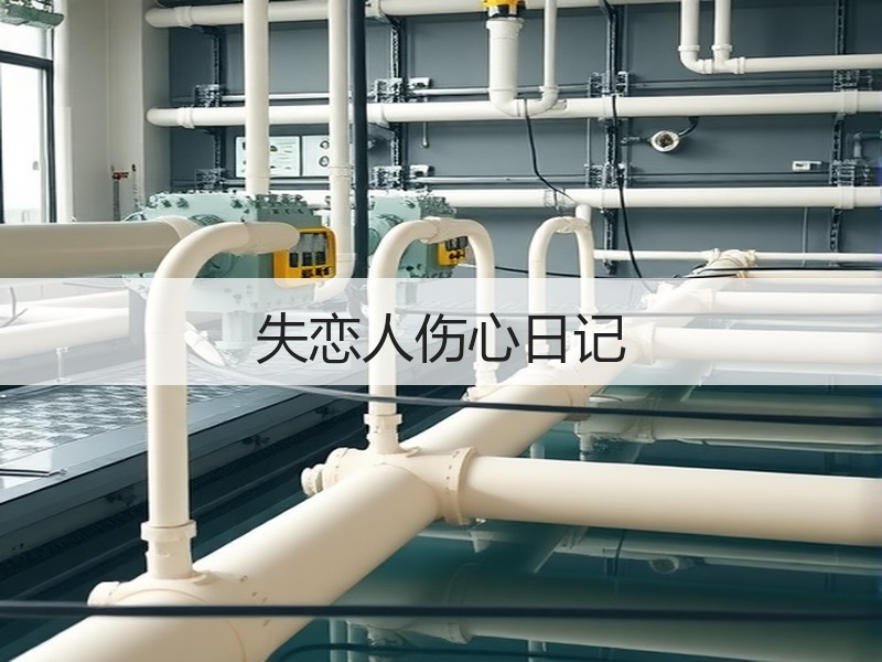 失恋人伤心日记