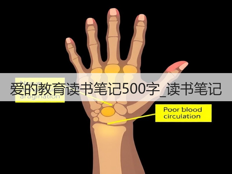 爱的教育读书笔记500字_读书笔记