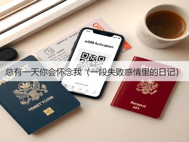 总有一天你会怀念我（一段失败感情里的日记）