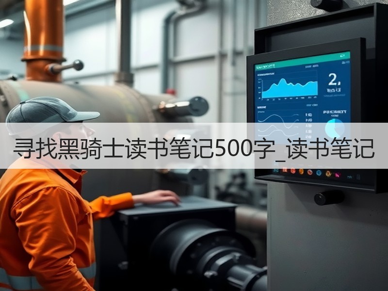 寻找黑骑士读书笔记500字_读书笔记