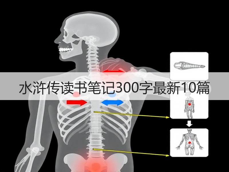 水浒传读书笔记300字最新10篇