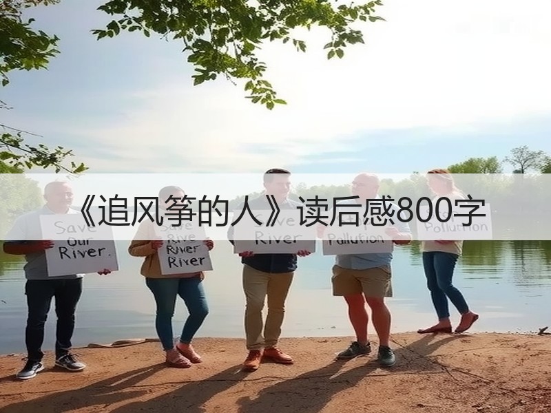 《追风筝的人》读后感800字