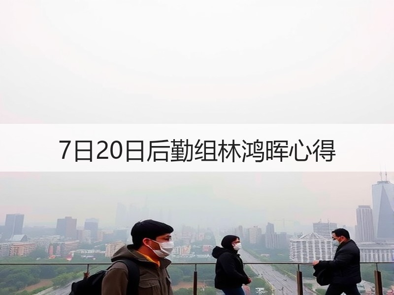 7日20日后勤组林鸿晖心得
