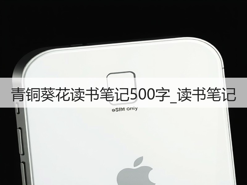 青铜葵花读书笔记500字_读书笔记