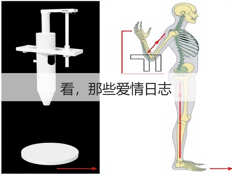 看，那些爱情日志