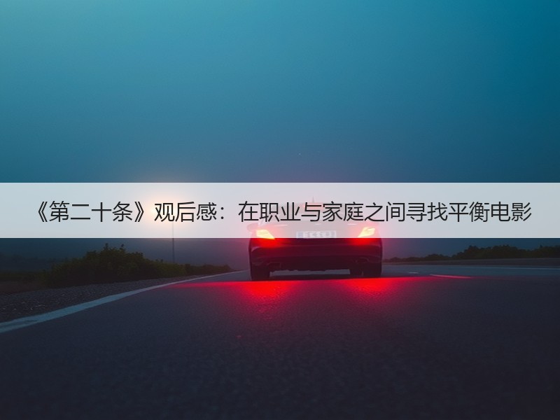 《第二十条》观后感：在职业与家庭之间寻找平衡电影
