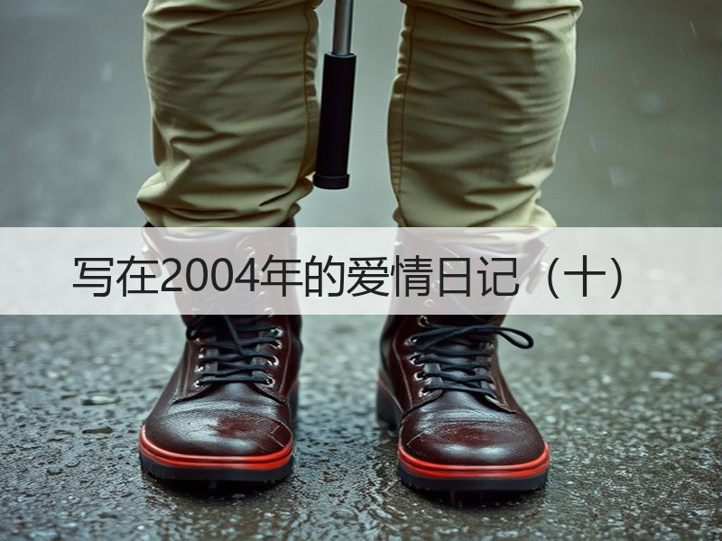 写在2004年的爱情日记（十）