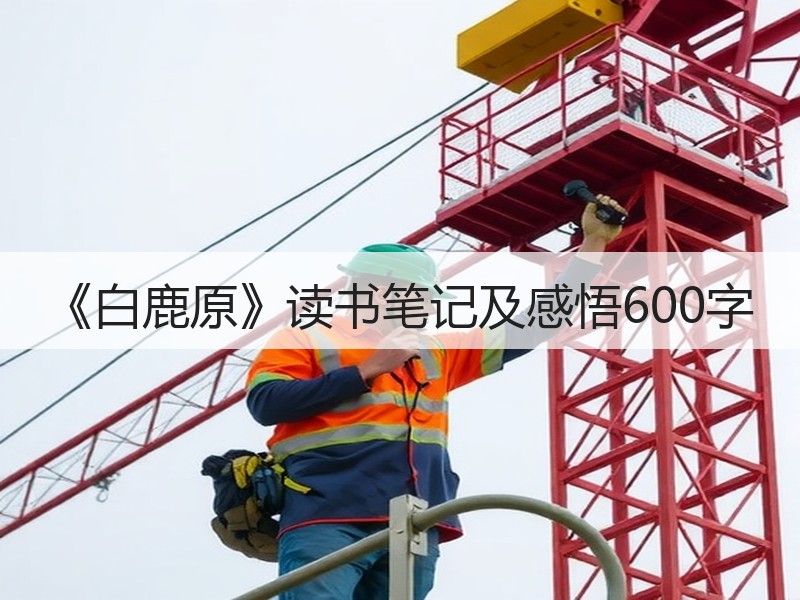 《白鹿原》读书笔记及感悟600字