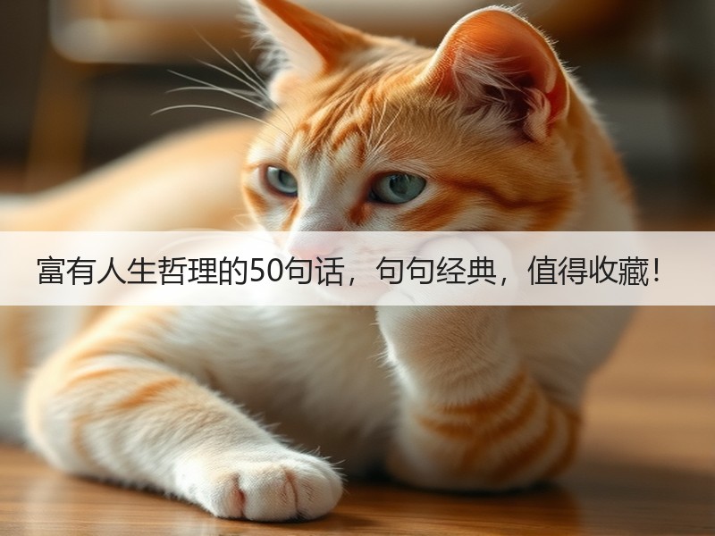富有人生哲理的50句话，句句经典，值得收藏！