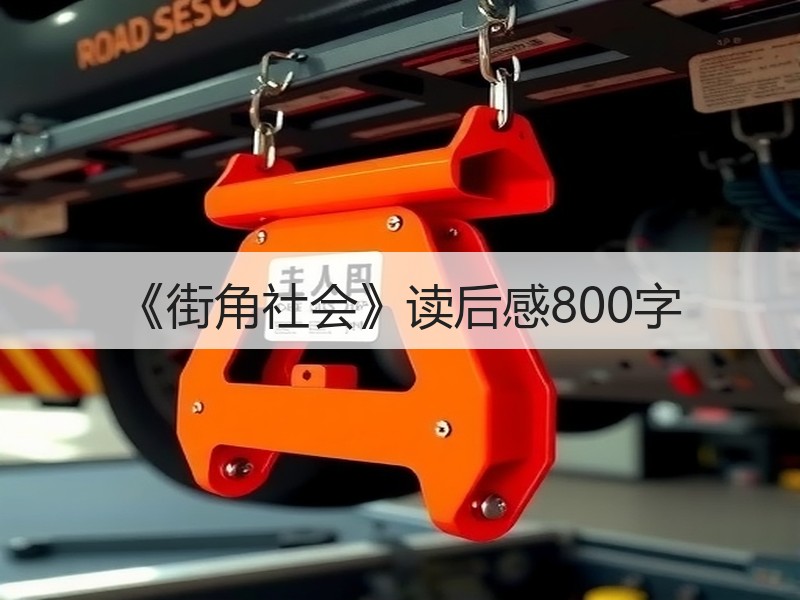 《街角社会》读后感800字